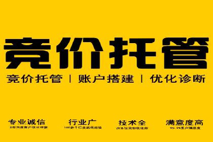 谷歌SEM成功案例：助力企业业绩增长